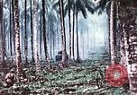 Image of 5th Marine Regiment Russell islands Solomon Islands, 1944, second 62 stock footage video 65675064090