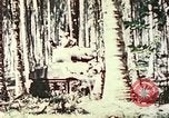 Standbild 5 Marine Regiment Pavuvu Insel Russell Inseln Salomonen, 1944, aus Sekunde 13 historischem Filmmaterial Videoclip 65675064091