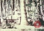 Standbild 5 Marine Regiment Pavuvu Insel Russell Inseln Salomonen, 1944, aus Sekunde 14 historischem Filmmaterial Videoclip 65675064091