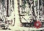 Standbild 5 Marine Regiment Pavuvu Insel Russell Inseln Salomonen, 1944, aus Sekunde 15 historischem Filmmaterial Videoclip 65675064091