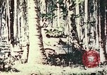 Standbild 5 Marine Regiment Pavuvu Insel Russell Inseln Salomonen, 1944, aus Sekunde 16 historischem Filmmaterial Videoclip 65675064091