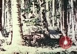 Standbild 5 Marine Regiment Pavuvu Insel Russell Inseln Salomonen, 1944, aus Sekunde 17 historischem Filmmaterial Videoclip 65675064091