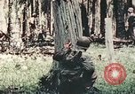 Standbild 5 Marine Regiment Pavuvu Insel Russell Inseln Salomonen, 1944, aus Sekunde 56 historischem Filmmaterial Videoclip 65675064091