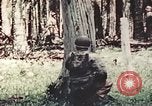 Standbild 5 Marine Regiment Pavuvu Insel Russell Inseln Salomonen, 1944, aus Sekunde 57 historischem Filmmaterial Videoclip 65675064091