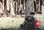 Standbild 5 Marine Regiment Pavuvu Insel Russell Inseln Salomonen, 1944, aus Sekunde 58 historischem Filmmaterial Videoclip 65675064091