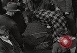 Image of American de-nazification law Germany, 1945, second 36 stock footage video 65675064106