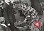 Image of American de-nazification law Germany, 1945, second 39 stock footage video 65675064106