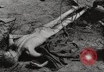 Image of General Eisenhower visits the Ohrdruf Nazi concentration camp Germany, 1945, second 59 stock footage video 65675064108
