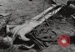 Image of General Eisenhower visits the Ohrdruf Nazi concentration camp Germany, 1945, second 60 stock footage video 65675064108