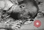 Image of Leipzig Concentration Camp Germany, 1945, second 57 stock footage video 65675064110