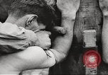 Image of victims demonstrate Belgium, 1945, second 41 stock footage video 65675064115