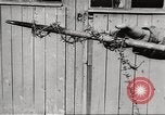 Image of victims demonstrate Belgium, 1945, second 44 stock footage video 65675064115
