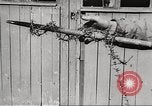 Image of victims demonstrate Belgium, 1945, second 45 stock footage video 65675064115