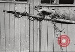 Image of victims demonstrate Belgium, 1945, second 46 stock footage video 65675064115