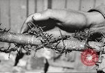 Image of victims demonstrate Belgium, 1945, second 47 stock footage video 65675064115