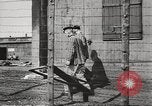 Image of Red Cross officials Germany, 1945, second 11 stock footage video 65675064116