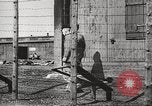 Image of Red Cross officials Germany, 1945, second 12 stock footage video 65675064116