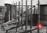 Image of Red Cross officials Germany, 1945, second 22 stock footage video 65675064116