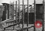 Image of Red Cross officials Germany, 1945, second 23 stock footage video 65675064116