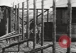 Image of Red Cross officials Germany, 1945, second 24 stock footage video 65675064116