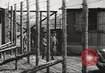 Image of Red Cross officials Germany, 1945, second 25 stock footage video 65675064116