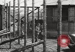 Image of Red Cross officials Germany, 1945, second 26 stock footage video 65675064116