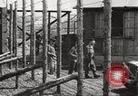 Image of Red Cross officials Germany, 1945, second 27 stock footage video 65675064116