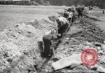Image villageois allemand Allemagne, 1945, de la seconde 44 séquences d'archives historiques vidéo 65675064117