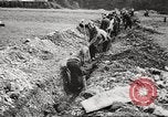 Image villageois allemand Allemagne, 1945, de la seconde 46 séquences d'archives historiques vidéo 65675064117