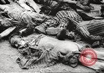 Image of 3rd Armored Division troops Germany, 1945, second 16 stock footage video 65675064118