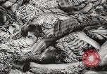 Image of 3rd Armored Division troops Germany, 1945, second 37 stock footage video 65675064118
