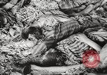 Image of 3rd Armored Division troops Germany, 1945, second 38 stock footage video 65675064118