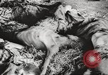 Image of 3rd Armored Division troops Germany, 1945, second 40 stock footage video 65675064118