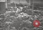 Image of 3rd Armored Division troops Germany, 1945, second 44 stock footage video 65675064118
