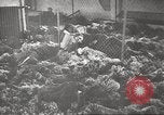 Image of 3rd Armored Division troops Germany, 1945, second 45 stock footage video 65675064118