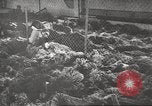 Image of 3rd Armored Division troops Germany, 1945, second 47 stock footage video 65675064118