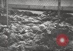 Image of 3rd Armored Division troops Germany, 1945, second 50 stock footage video 65675064118