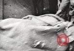 Image of 3rd Armored Division troops Germany, 1945, second 61 stock footage video 65675064118