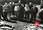 Image of dead bodies Germany, 1945, second 19 stock footage video 65675064121
