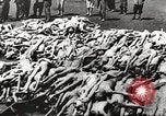 Image of dead bodies Germany, 1945, second 21 stock footage video 65675064121
