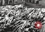 Image of dead bodies Germany, 1945, second 23 stock footage video 65675064121