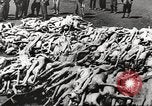Image of dead bodies Germany, 1945, second 24 stock footage video 65675064121