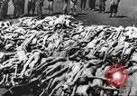 Image of dead bodies Germany, 1945, second 25 stock footage video 65675064121