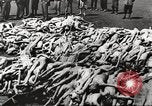 Image of dead bodies Germany, 1945, second 27 stock footage video 65675064121