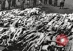 Image of dead bodies Germany, 1945, second 29 stock footage video 65675064121