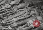 Image of dead bodies Germany, 1945, second 30 stock footage video 65675064121