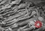 Image of dead bodies Germany, 1945, second 31 stock footage video 65675064121