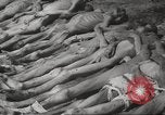 Image of dead bodies Germany, 1945, second 32 stock footage video 65675064121