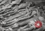 Image of dead bodies Germany, 1945, second 34 stock footage video 65675064121