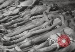 Image of dead bodies Germany, 1945, second 35 stock footage video 65675064121